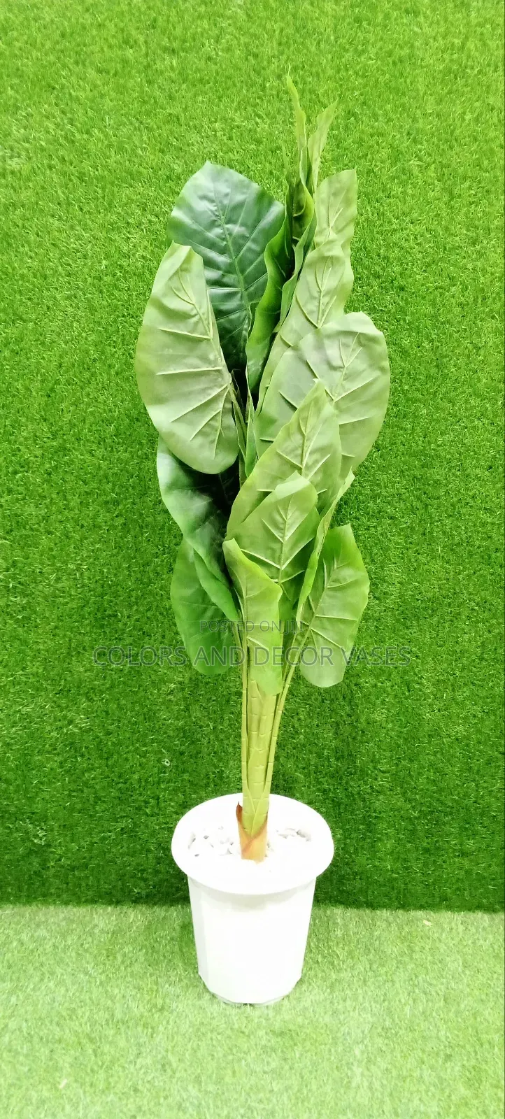 1.2m Plant With Vase and Pebble Stones