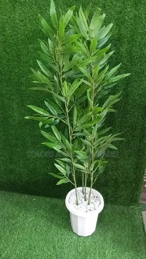 Bamboo Sticks and Vase