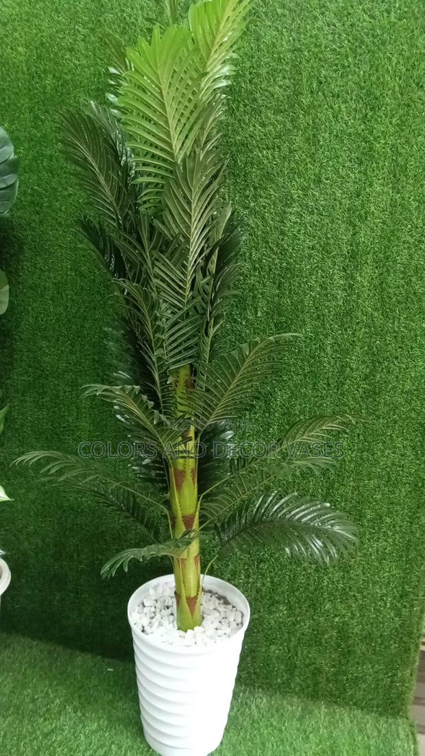 Palm Tree 1.6m