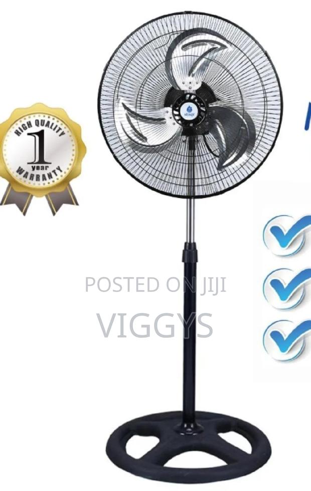 Size 18 Standing Fun - main view