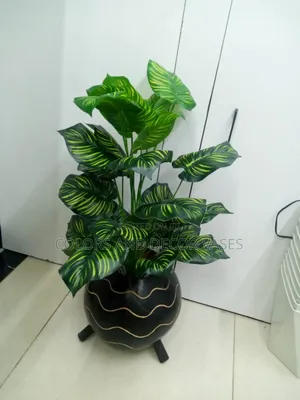 Calabash + Plant Artificial