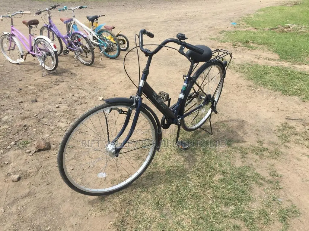 Size 27 Daccarat Zeeta Bike for Sale