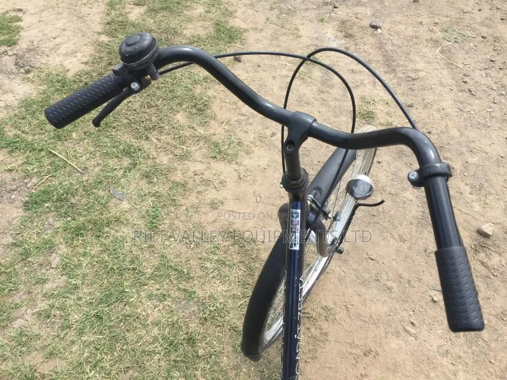 Size 27 Daccarat Zeeta Bike for Sale