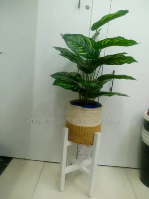 Stand, Basket and Plant Plus Decorative Stones