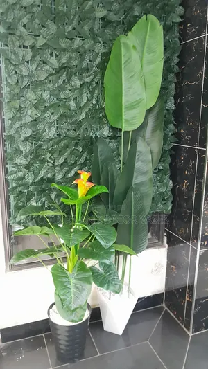Flowered Plant With Vase