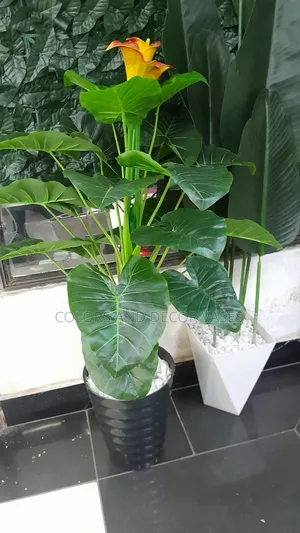 Orange Flowered Plant With Vase Plus Pebble Stones