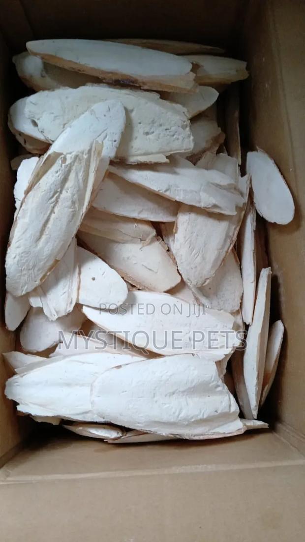 Cattle Bones Calcium Block - main view