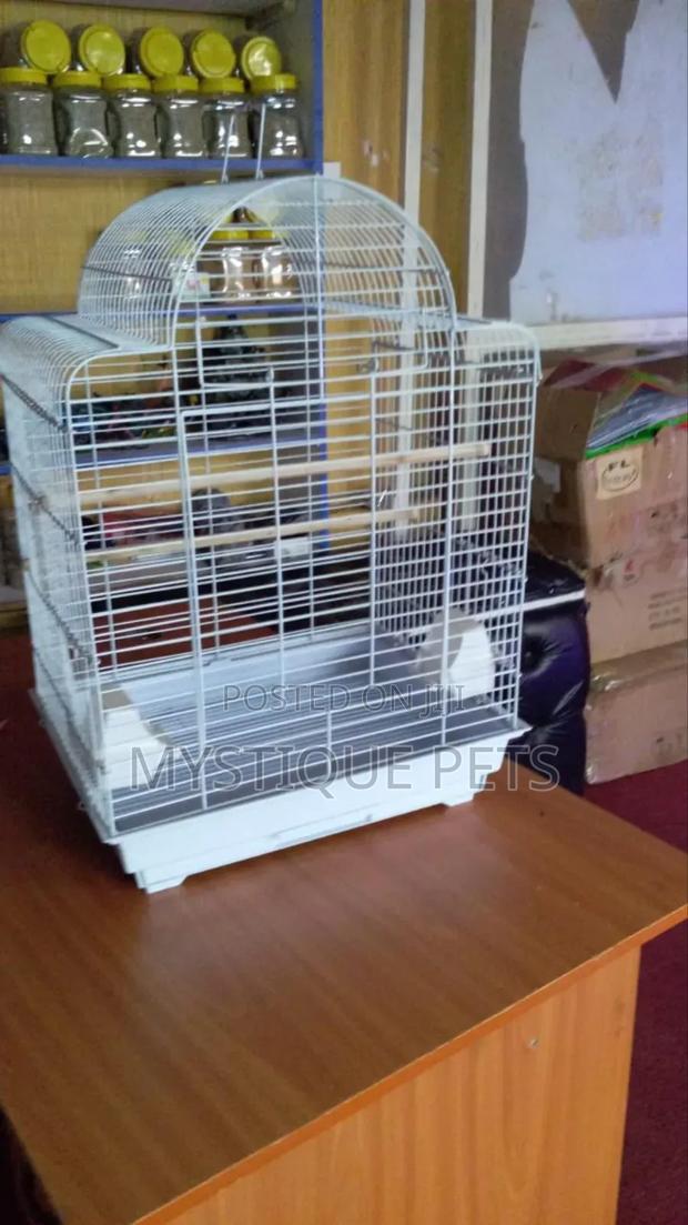 Cocktails Cage - main view