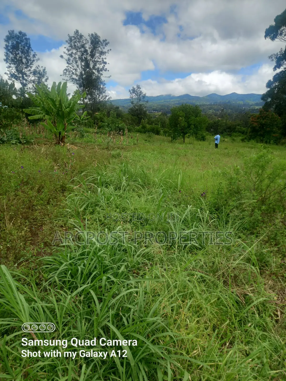Quarter an Acre for Sale in Ngong Olkeri