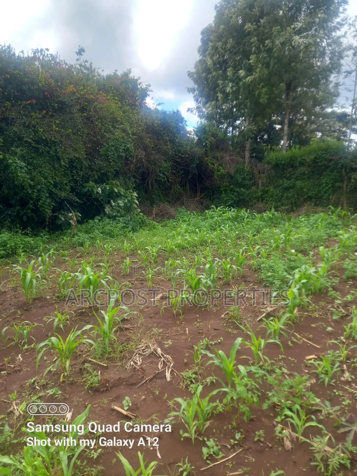 Quarter an Acre for Sale in Ngong Olkeri