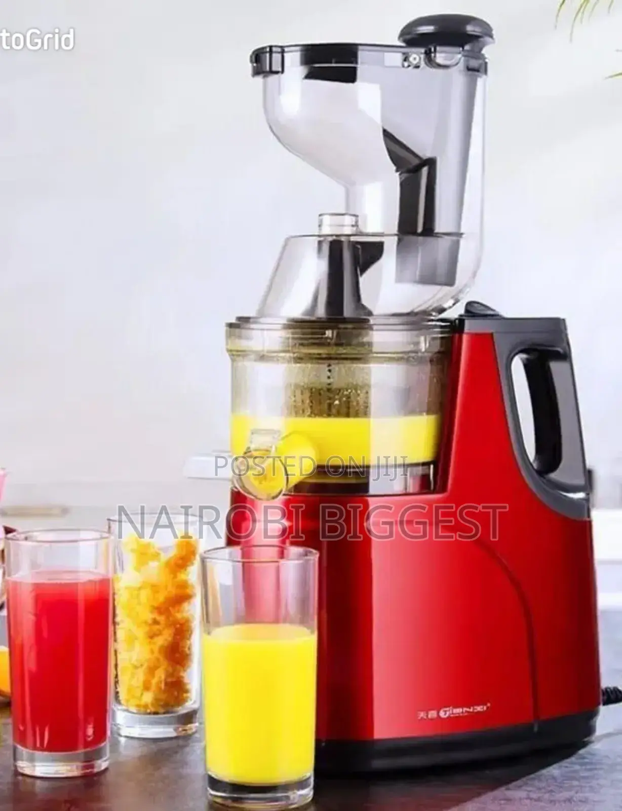 Raf Best Slow Juicer