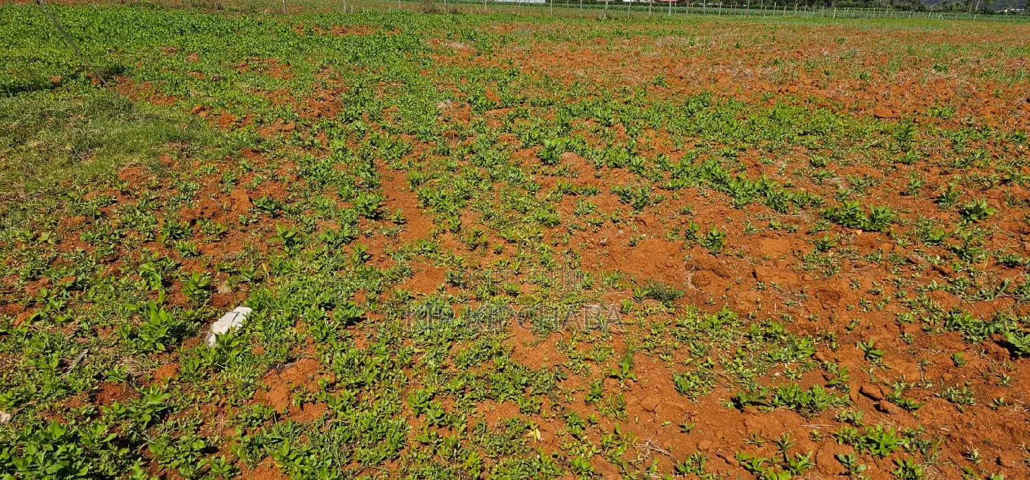 1⁄4 Plots for Sale in Chemaluk Marura in Eldoret