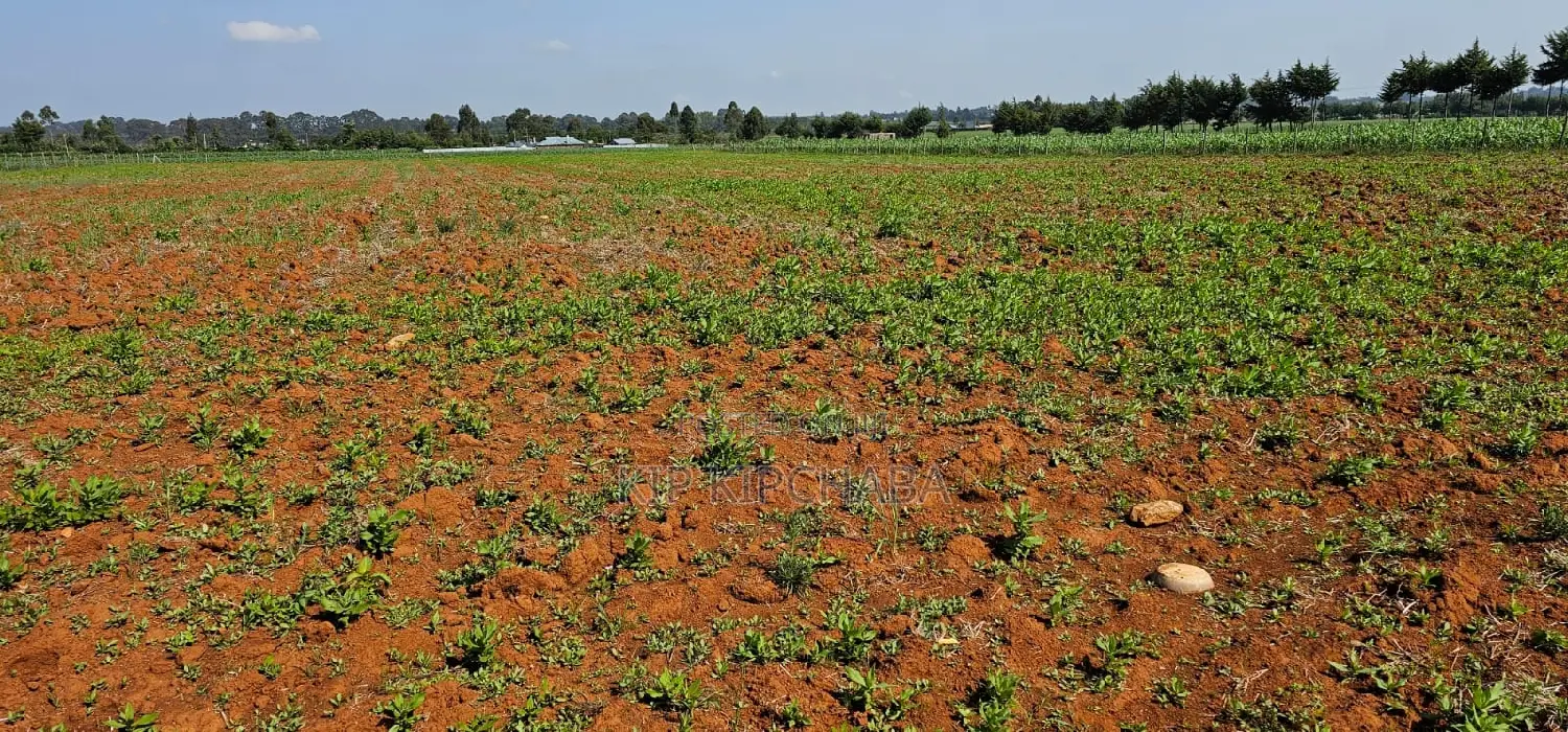 1⁄4 Plots for Sale in Chemaluk Marura in Eldoret