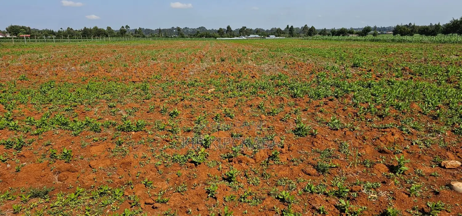 1⁄4 Plots for Sale in Chemaluk Marura in Eldoret