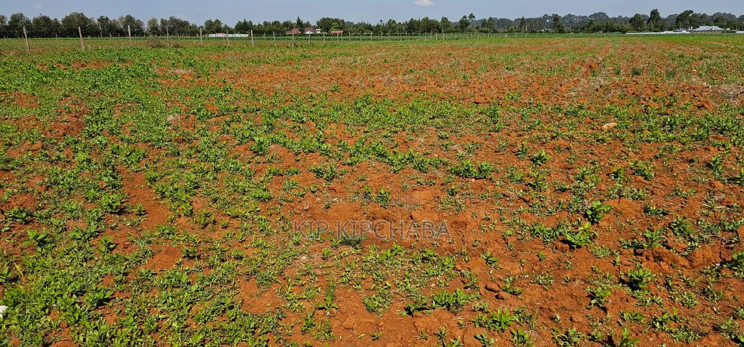 1⁄4 Plots for Sale in Chemaluk Marura in Eldoret