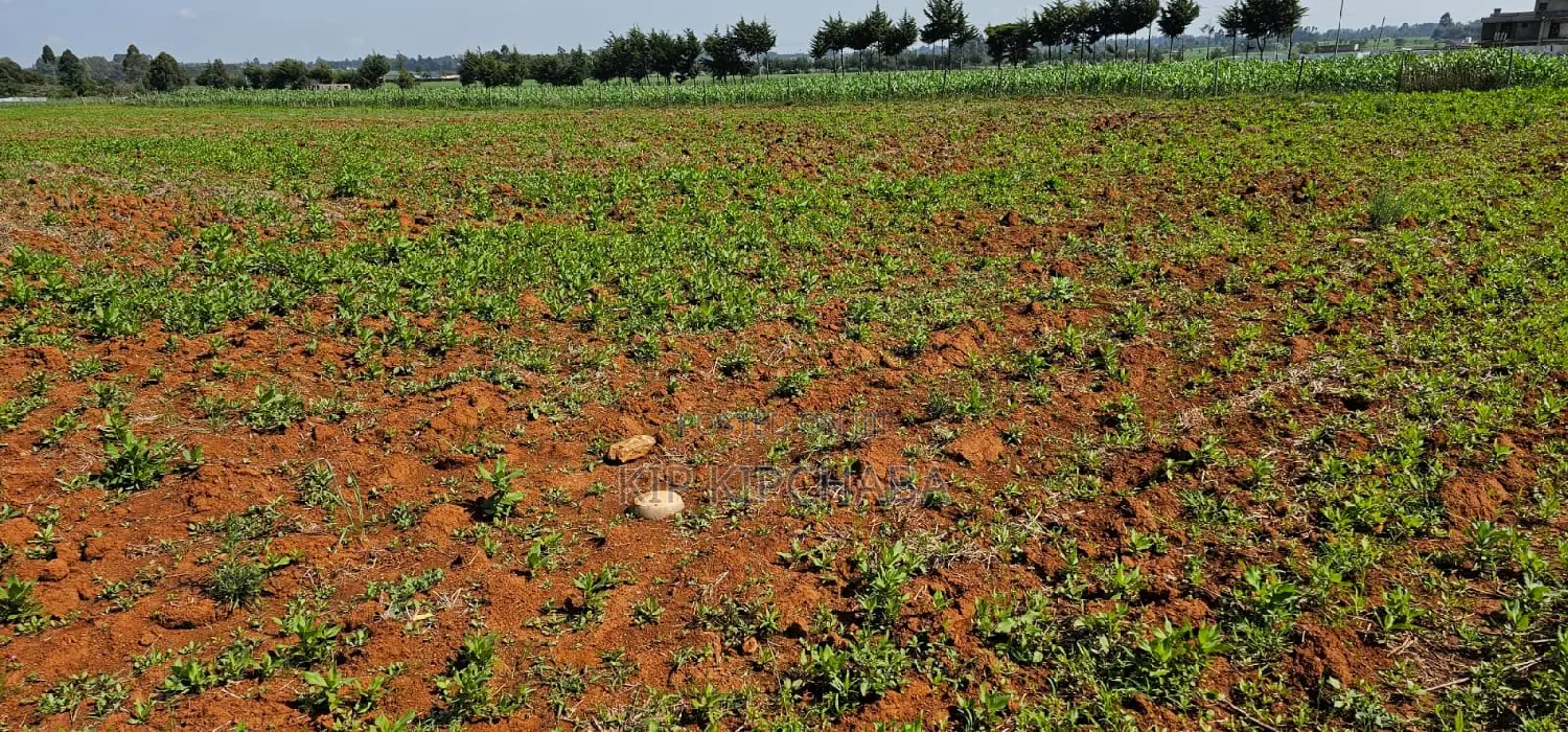 1⁄4 Plots for Sale in Chemaluk Marura in Eldoret