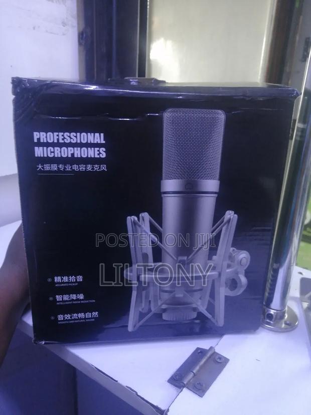 Professional Microphone - main view
