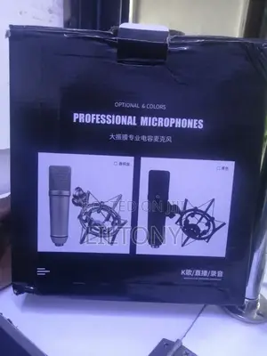 Professional Microphone