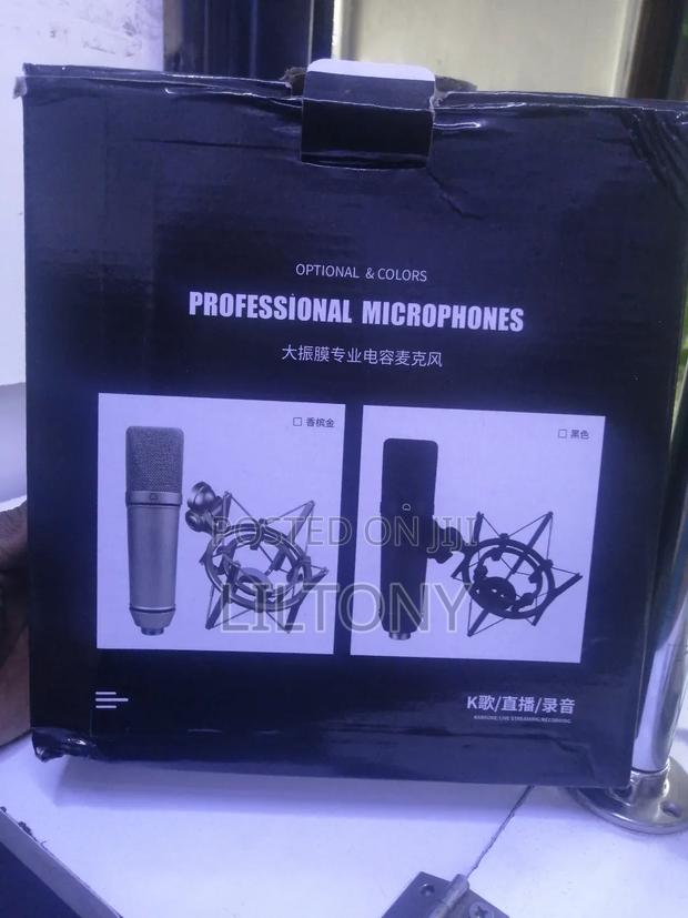 Professional Microphone - thumbnail 2