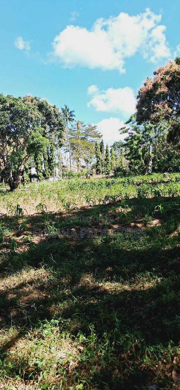 For Sale 10 Acres Agricultural Land - thumbnail 4