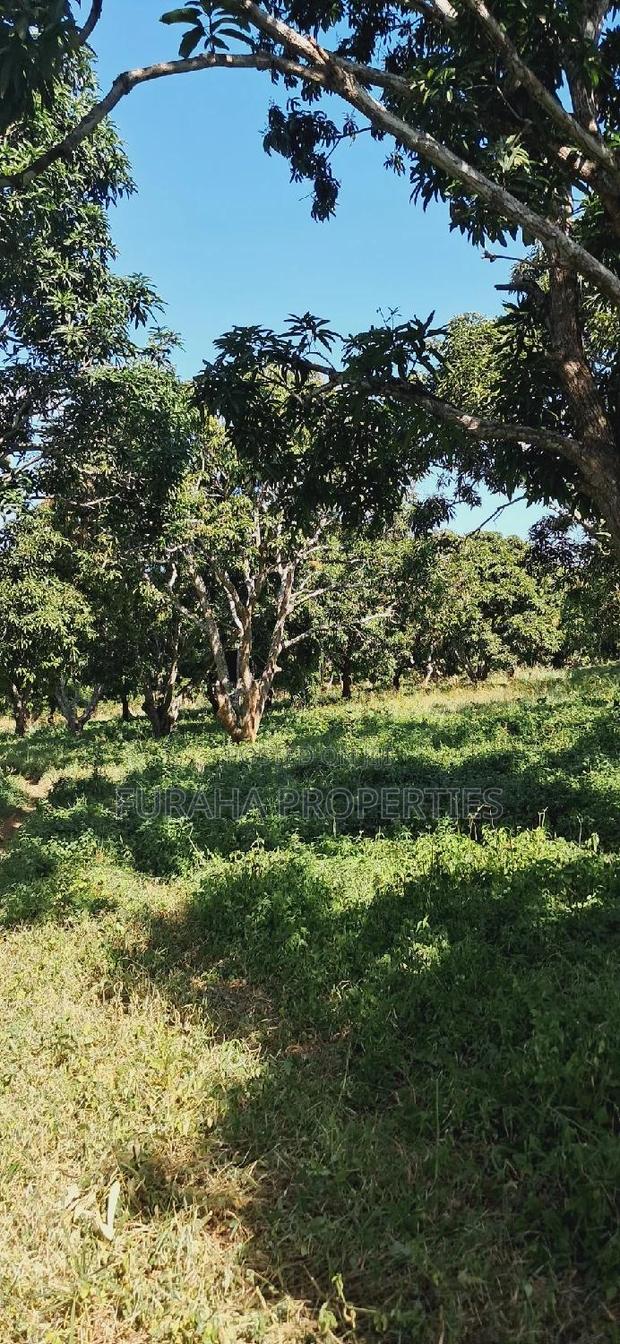 For Sale 10 Acres Agricultural Land - thumbnail 5