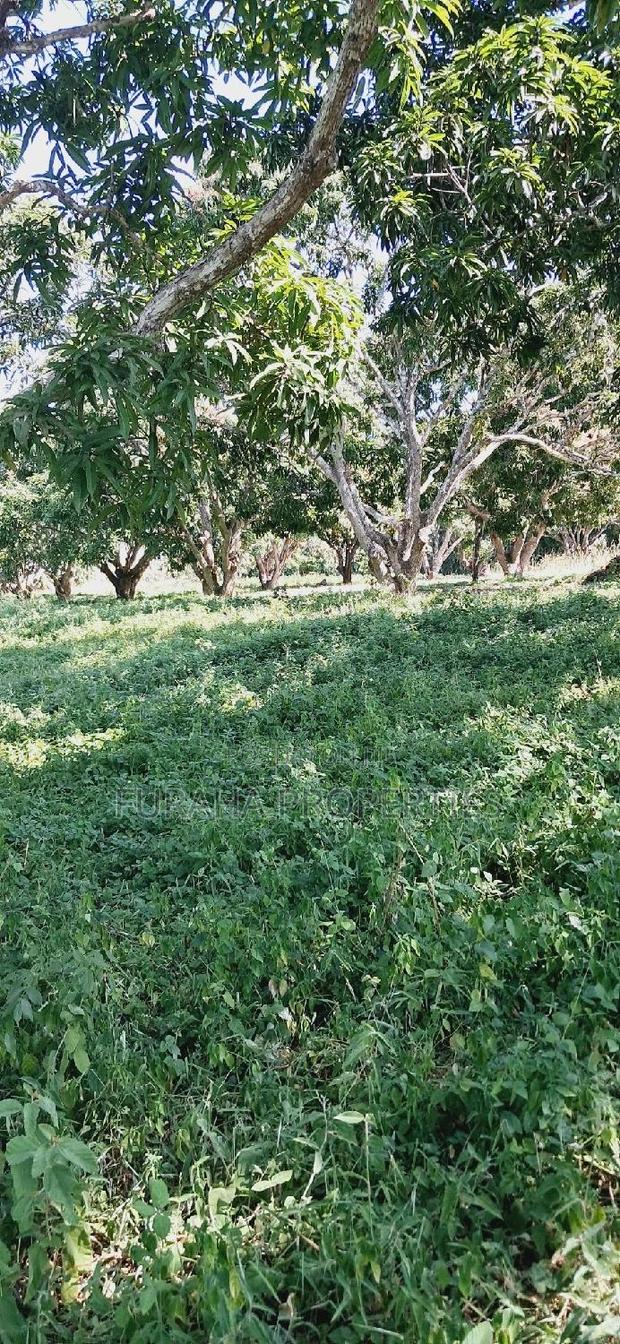 For Sale 10 Acres Agricultural Land - thumbnail 6