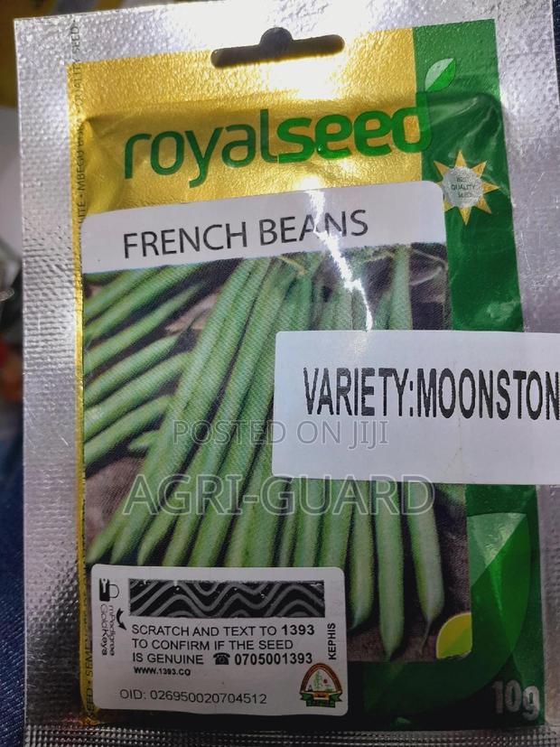 French Beans - main view