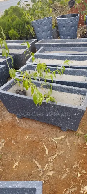 Troughs Long Enough Upto 4ft, Trough Pots