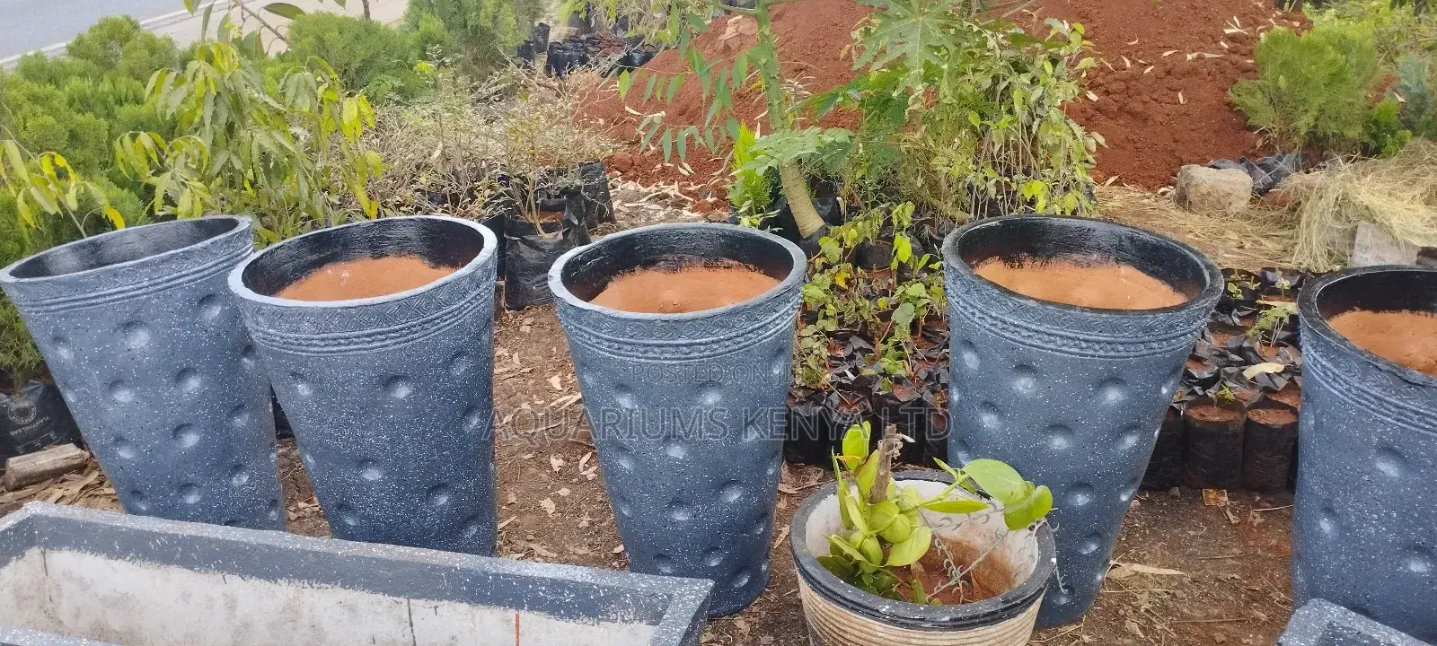 Spotty Bucket Flower Pots,Flower Pots