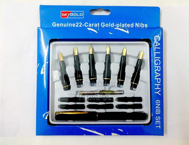 Set With 6 Nibs & 6 Ink Cartridges