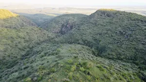 20 Acres on Hill Past Kisamis at Per Acre