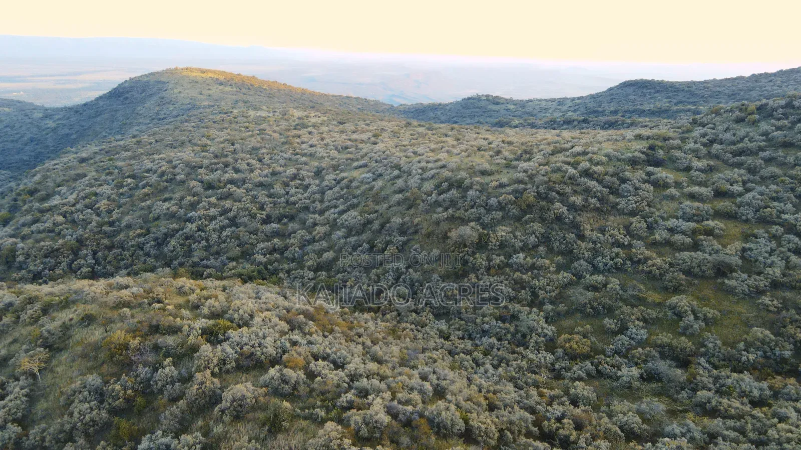 20 Acres on Hill Past Kisamis at Per Acre