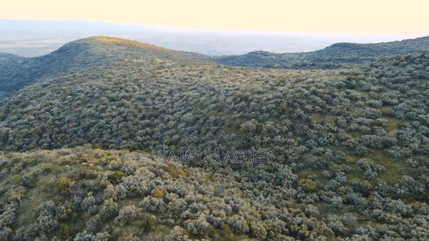 20 Acres on Hill Past Kisamis at Per Acre - thumbnail 10