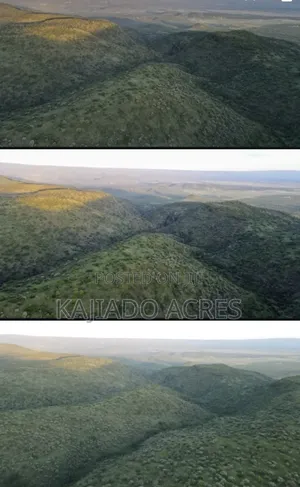 20 Acres on Hill Past Kisamis at Per Acre