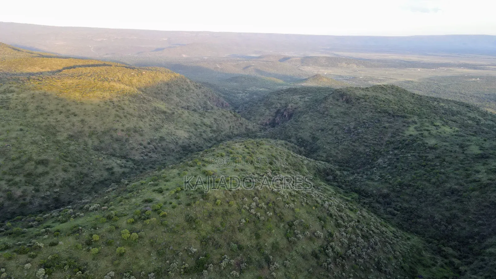 20 Acres on Hill Past Kisamis at Per Acre