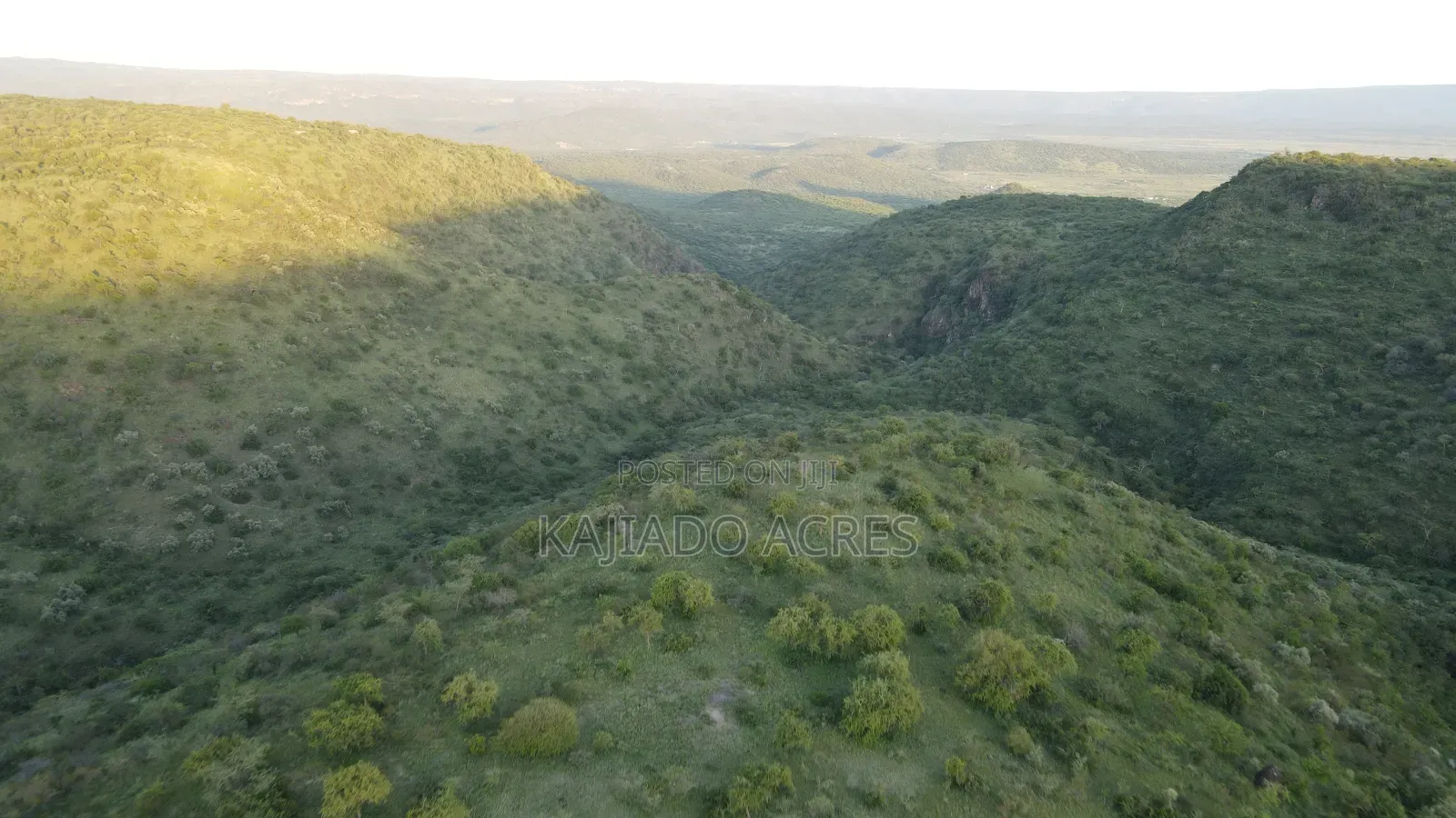 20 Acres on Hill Past Kisamis at Per Acre