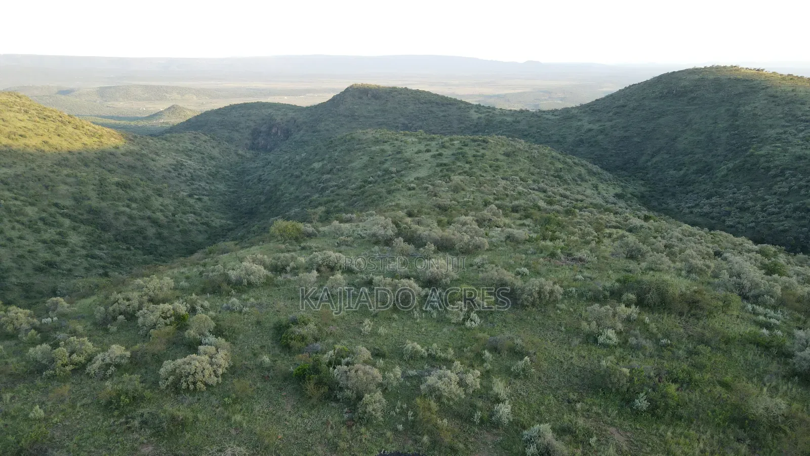 20 Acres on Hill Past Kisamis at Per Acre