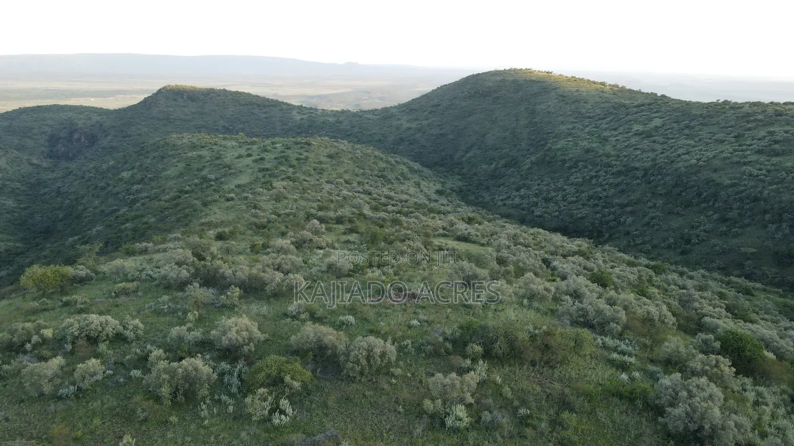 20 Acres on Hill Past Kisamis at Per Acre