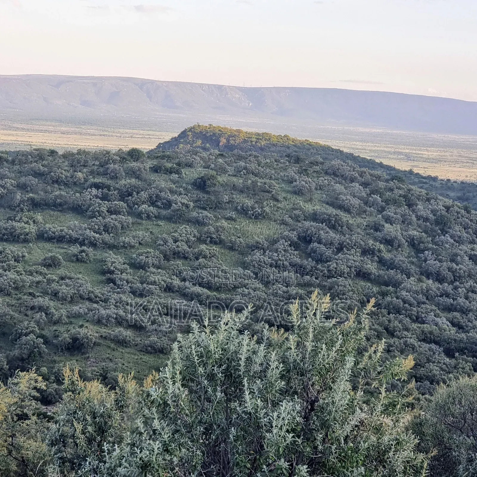 20 Acres on Hill Past Kisamis at Per Acre