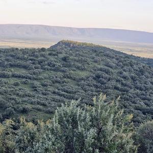 20 Acres on Hill Past Kisamis at Per Acre - main view