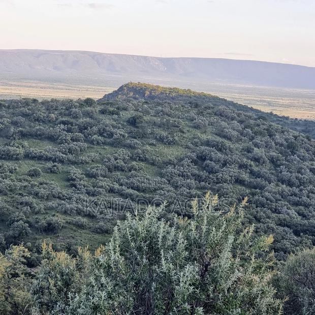 20 Acres on Hill Past Kisamis at Per Acre