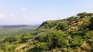 33acre Ngororoi at Per Acre