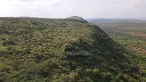33acre Ngororoi at Per Acre
