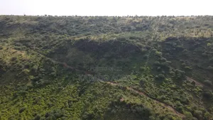 33acre Ngororoi at Per Acre