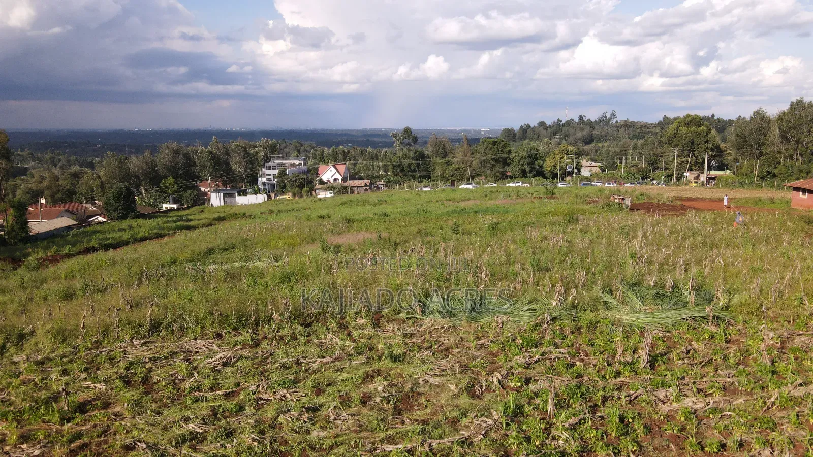 1/8 Acre Bondeni Pieces