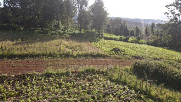 1/8 Acre Bondeni Pieces - thumbnail 8