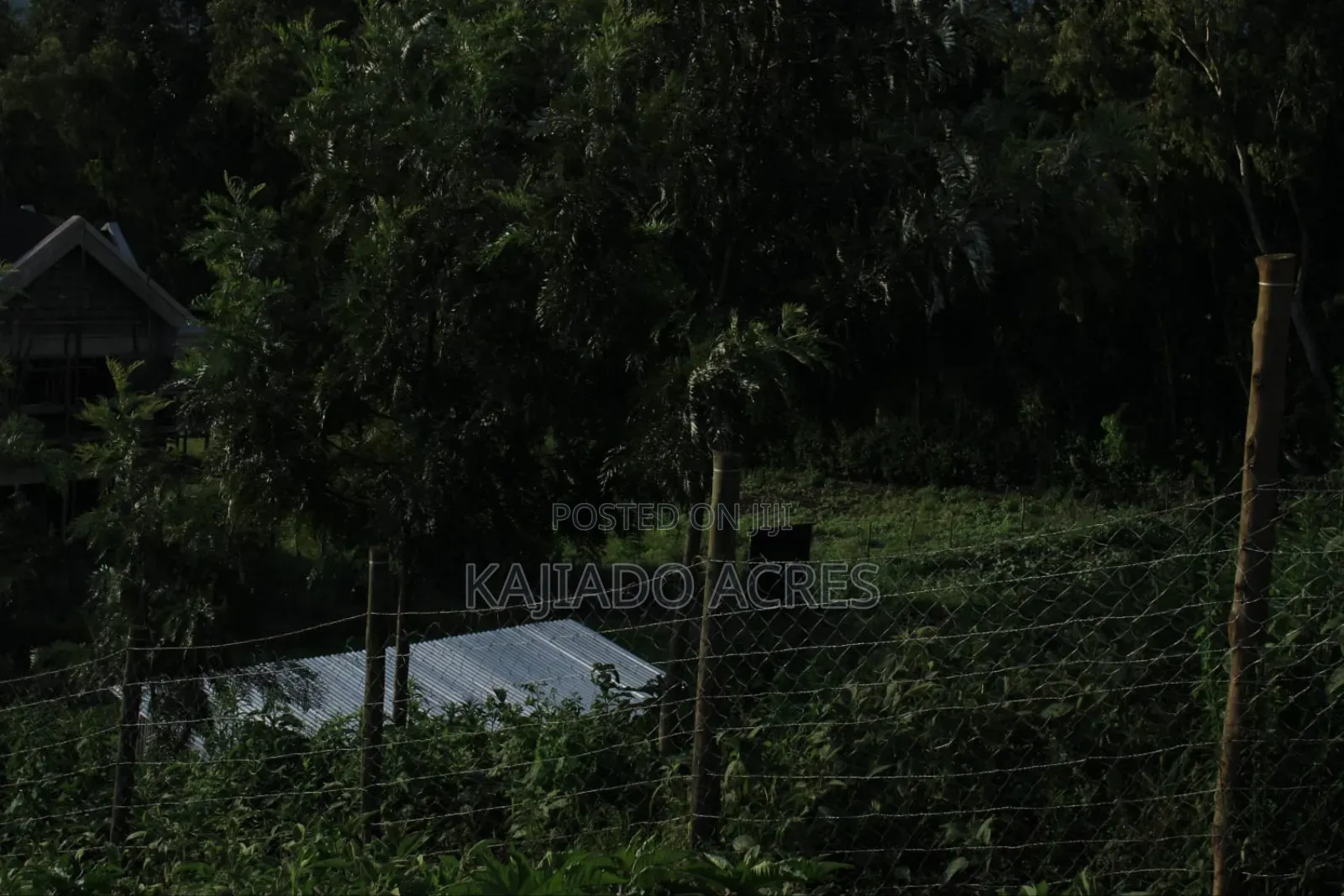 1/8 Acre Lemiso Road at 3.5m