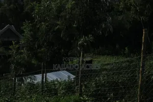 1/8 Acre Lemiso Road at 3.5m