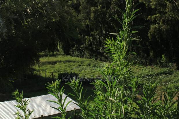 1/8 Acre Lemiso Road at 3.5m - thumbnail 7