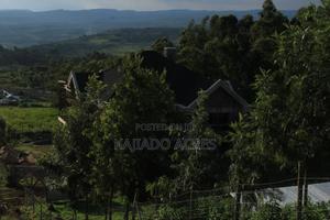 1/8 Acre Lemiso Road at 3.5m - thumbnail 2